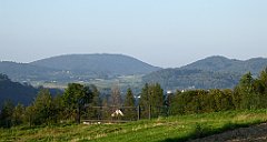 361_TZ60_P1150272_cr