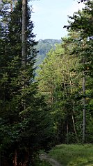 0010_TZ60_P1150290_cr