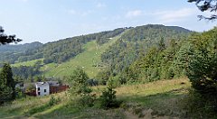 0016_TZ60_P1150296_cr