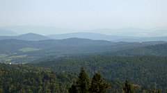 0129_TZ60_P1150385_cr