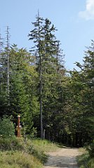 0177_TZ60_P1150418_cr