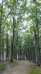 0203_TZ60_P1150431_cr