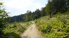 0211_TZ60_P1150435_cr