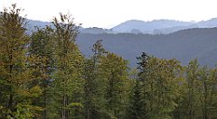 0217_TZ60_P1150442_cr