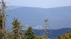 0235_TZ60_P1150456_cr