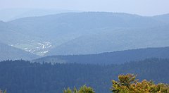 0237_TZ60_P1150459_cr