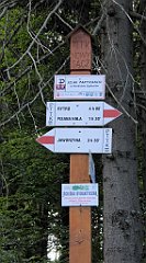 0269_TZ60_P1150478_cr