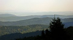 0283_TZ60_P1150494_cr