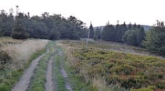 0299_TZ60_P1150510_cr