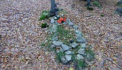 0303_TZ60_P1150514_cr