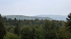 0310_TZ60_P1150521_cr