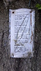 0319_TZ60_P1150528_cr