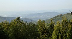 0333_TZ60_P1150533_cr