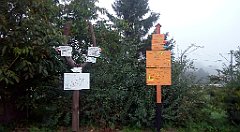 0002_A806_IMG_20160913_062827_cr