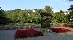 0098_TZ60_P1150280_cr