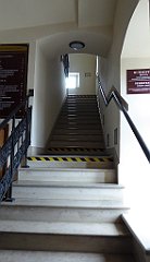 115_TZ60_P1150702_cr