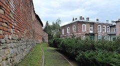 213_TZ60_P1150783_cr