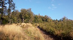 064_A806_IMG_20160922_075735_cr