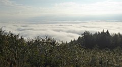 068_TZ60_P1150883_cr