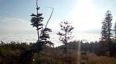 069_A806_IMG_20160922_080111_cr