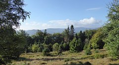 108_TZ60_P1150908_cr