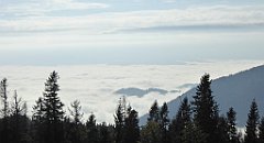 138_TZ60_P1150929_cr