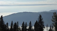 139_TZ60_P1150931_cr