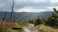 288_TZ60_P1150974_cr