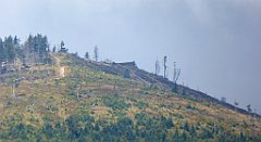 322_TZ60_P1150994_cr