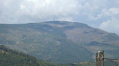 346_TZ60_P1150997_cr