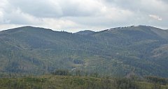 393_TZ60_P1160016_cr