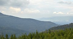 397_TZ60_P1160024_cr