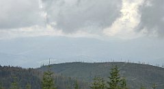 412_TZ60_P1160039_cr