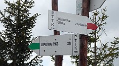 418_TZ60_P1160043_cr