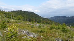 428_TZ60_P1160044_cr