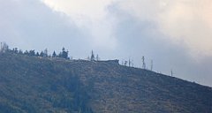 436_TZ60_P1160051_cr