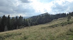 468_TZ60_P1160062_cr