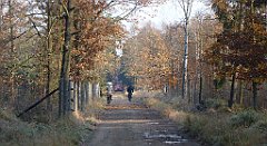 0133a_3D_P1140197_cr