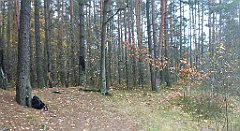 0270a_3D_P1140507_cr