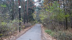 0388a_3D_P1140596_cr