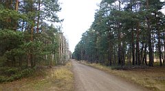 0281a_TZ_P1110397_cr