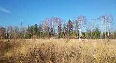 0346_A806_IMG_20161121_105154_cr