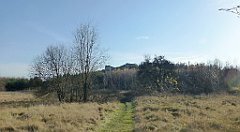 0482a_TZ_P1110441_cr