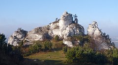 0134a_3D_P1150188_cr