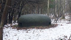 0201a_3D_P1160264_cr