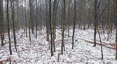 0211a_3D_P1160271_cr