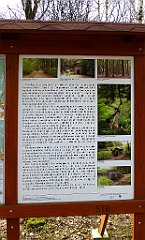 612_2017-03-29_13-35-46_TZ_P1120737