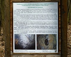 632_2017-03-29_13-51-29_TZ_P1120743