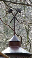 646_2017-03-29_13-53-36_TZ_P1120748