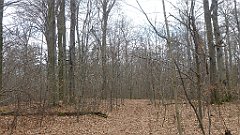 672_2017-03-29_14-08-51_3D_P1190008